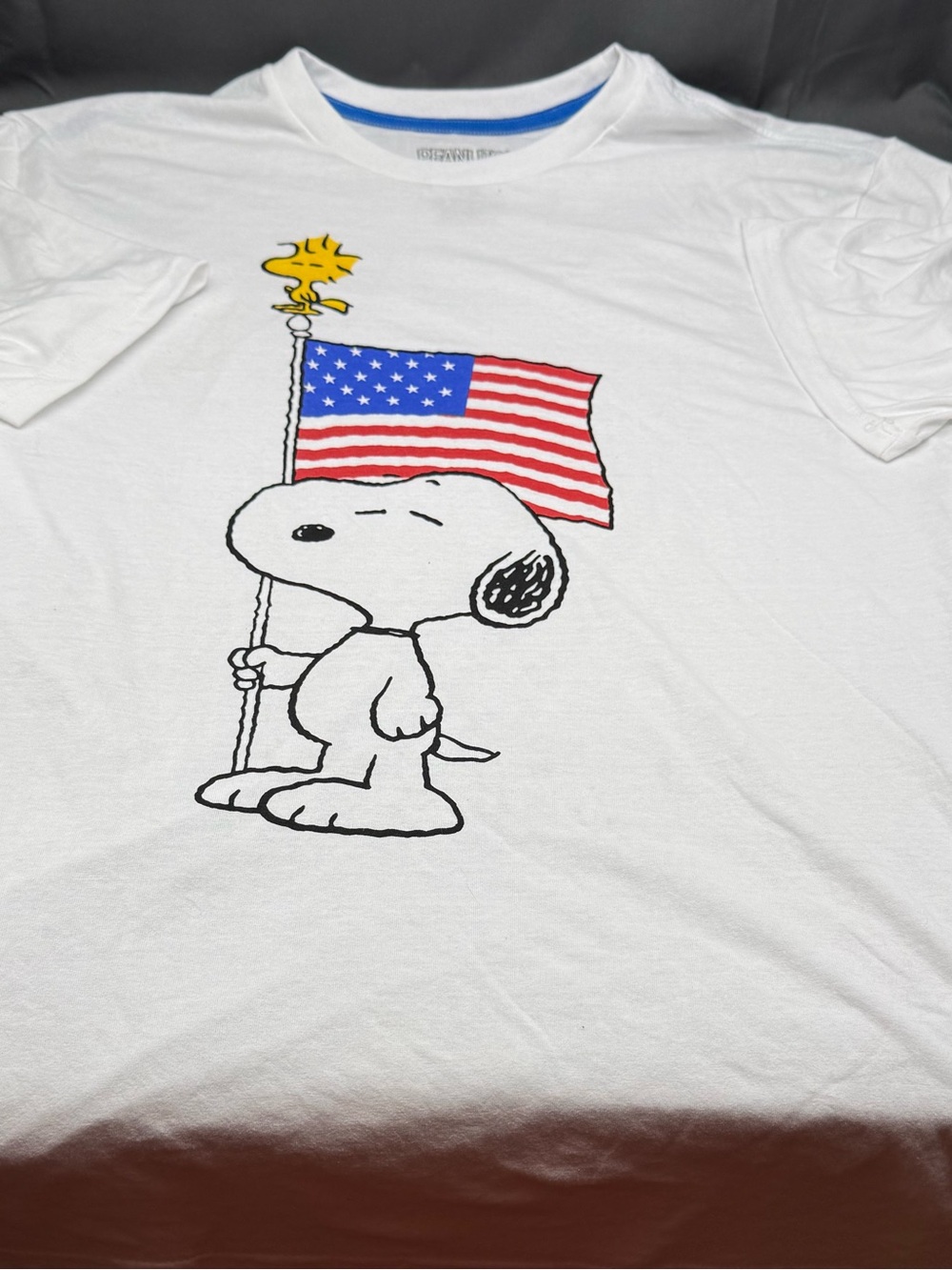 Peanuts White Snoopy & Woodstock Dog Tee with American Flag